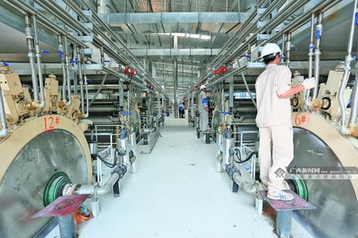 廣西農業爭相扎根東盟“沃土” 木薯變性淀粉產業迎發展新機